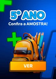 MT 5°